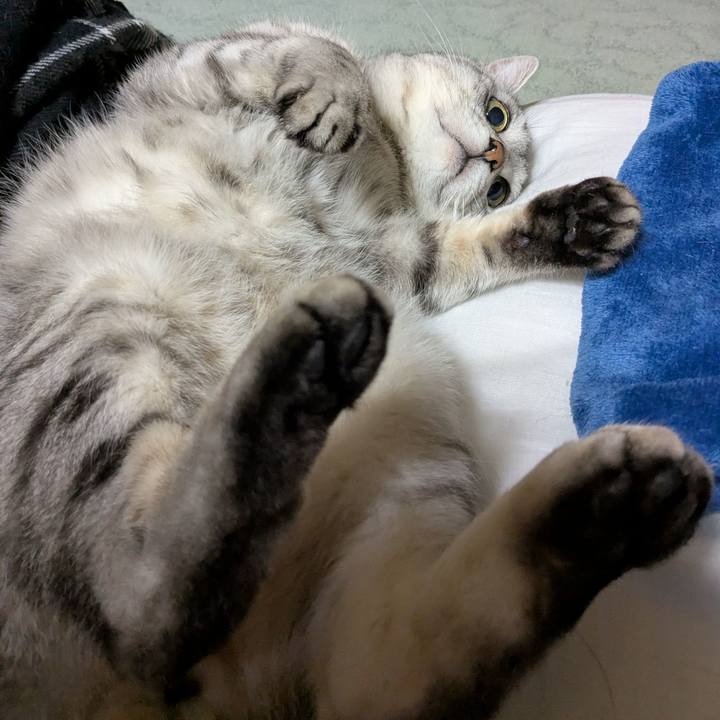 0f93418b e21b 44e5 9ba5 7d97c8016185 1773501320291