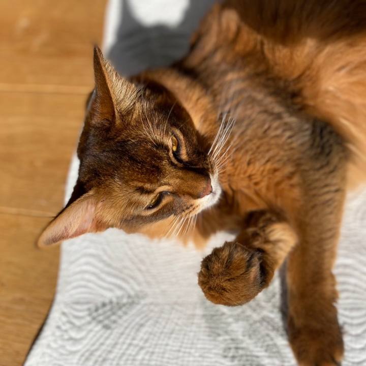 0f935616 9930 424a ae30 a11b25cb2ccc 1638409904181