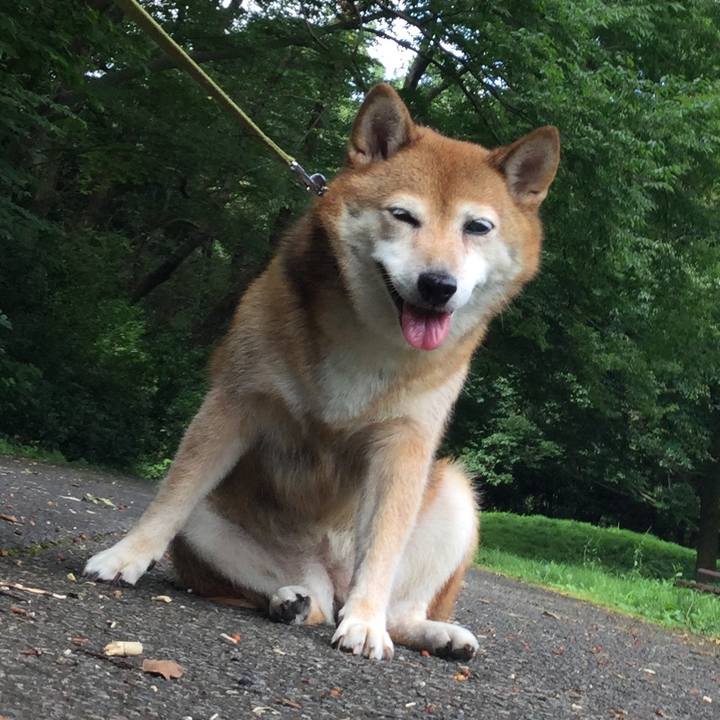 0f938a37 06f0 4371 b48c 312029444913 1627452803040