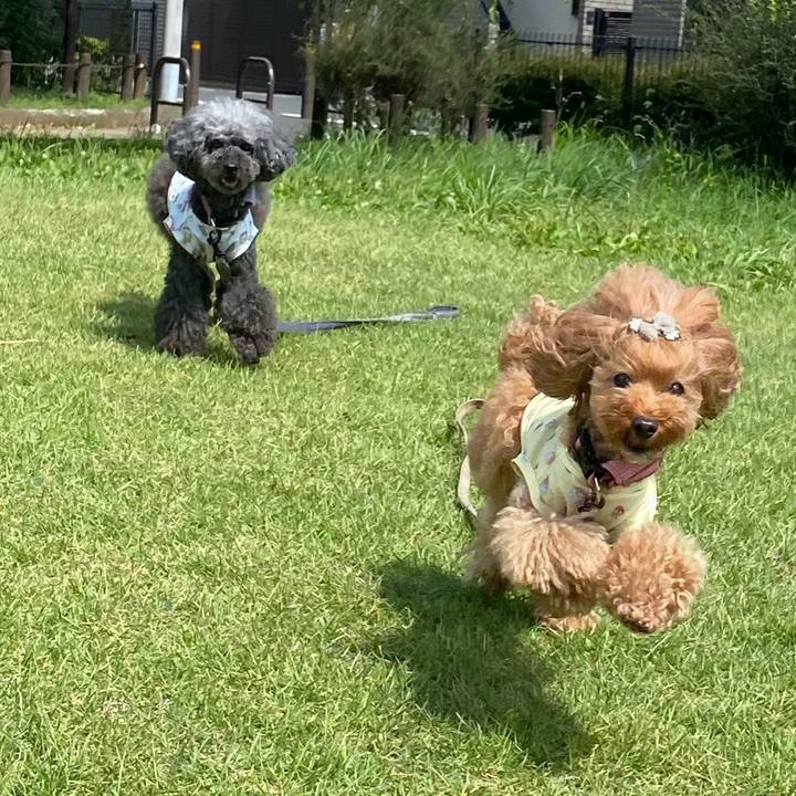 0f93b538 28c2 424a 8c5b cd57782aacc6 1627165661455