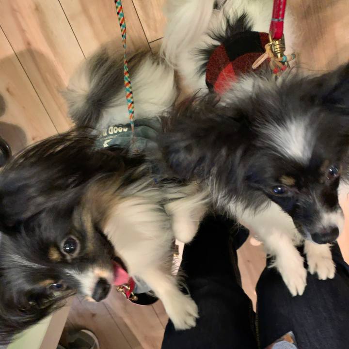 0f93c2b7 907c 40e9 b115 33db6a56097d 1548588571830