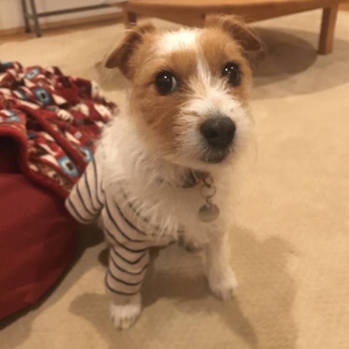 0f93d082 68c9 4a91 8482 02ba47789950 1516877469492