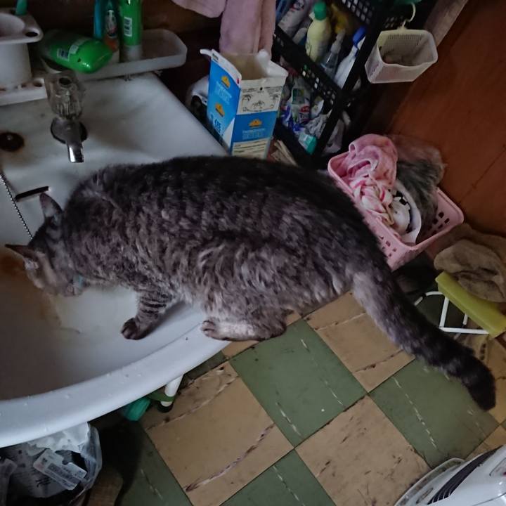 0f93de98 0d70 4249 a6a0 ac433c2ef245 1575064744867