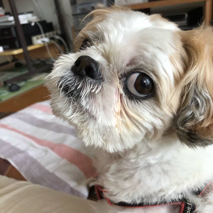 0f93e0d3 3a9a 416b b62d 7d1e9c03c096 1601182810870