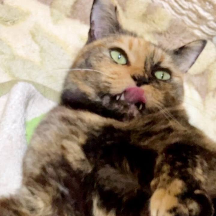 0f9400e2 b2f4 4520 8f30 de837c712267 1732443005487