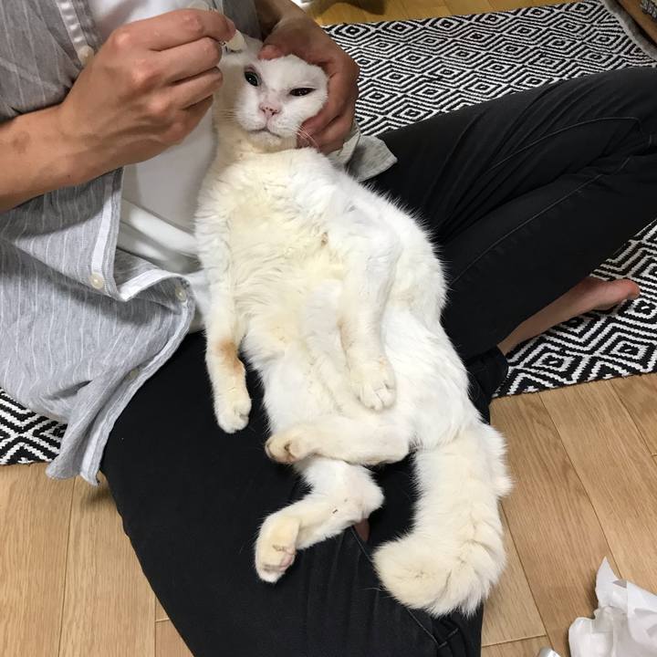 0f943991 e989 4574 a5ad ed1ba815d697 1561968347263