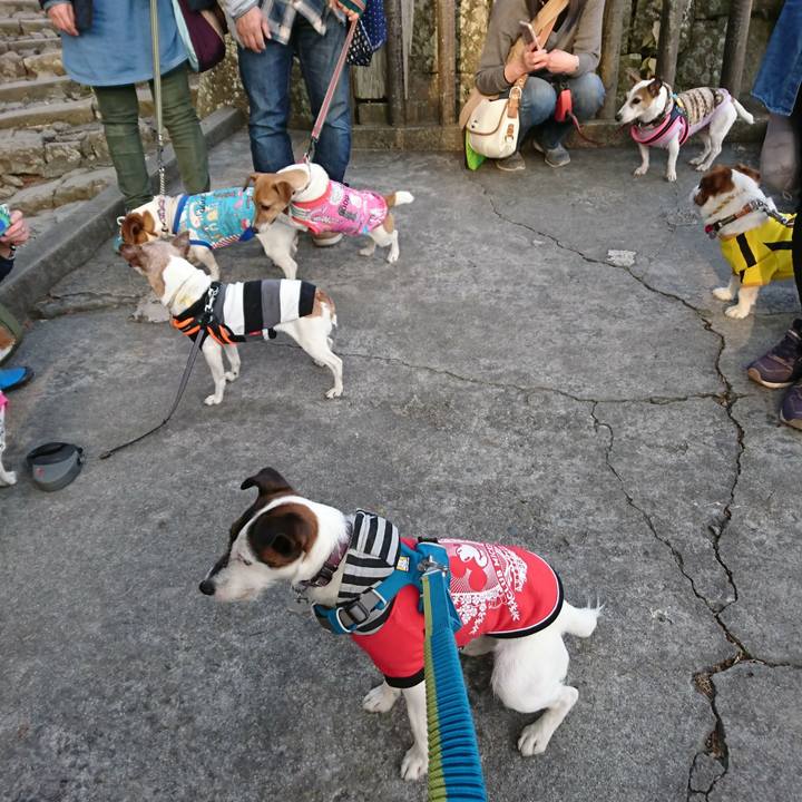 0f94e967 0602 42b7 bd88 61692e02aa0a 1519544630621