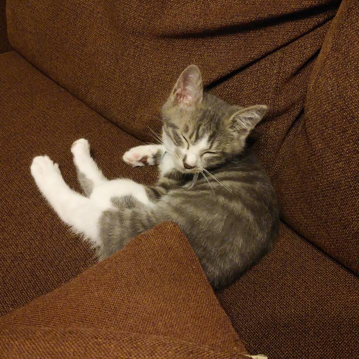 0f953296 1540 4f64 9f42 b726e96e45aa 1562690650791