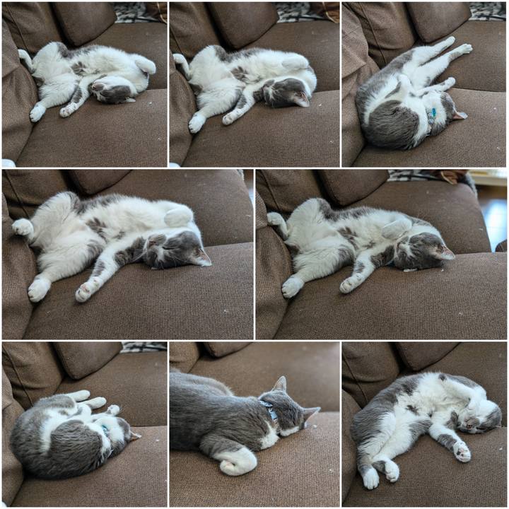 0f953b9c 796e 4718 a881 be580b282713 1727852830032