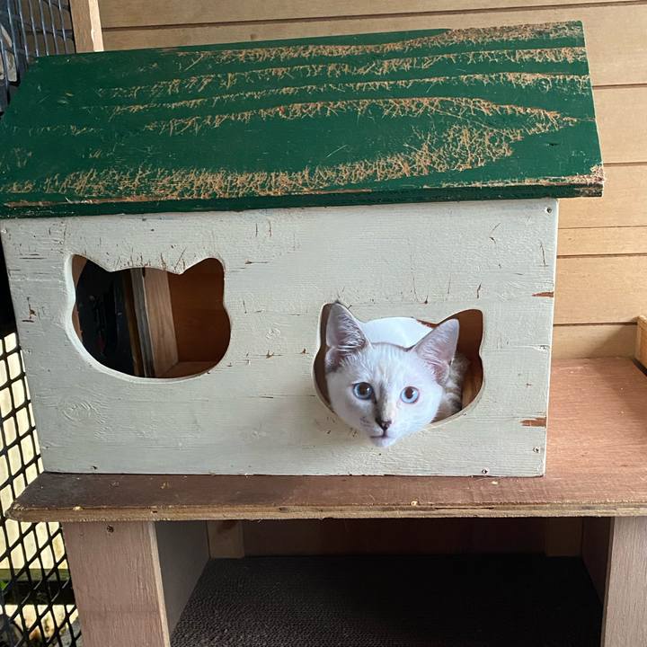 0f9542ea 266a 4147 bfb1 d82c6fd6469f 1629423756666