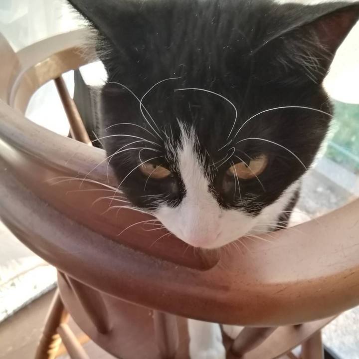 0f954b85 5059 4e8d aeb9 ed5ca3cc6469 1561469336369