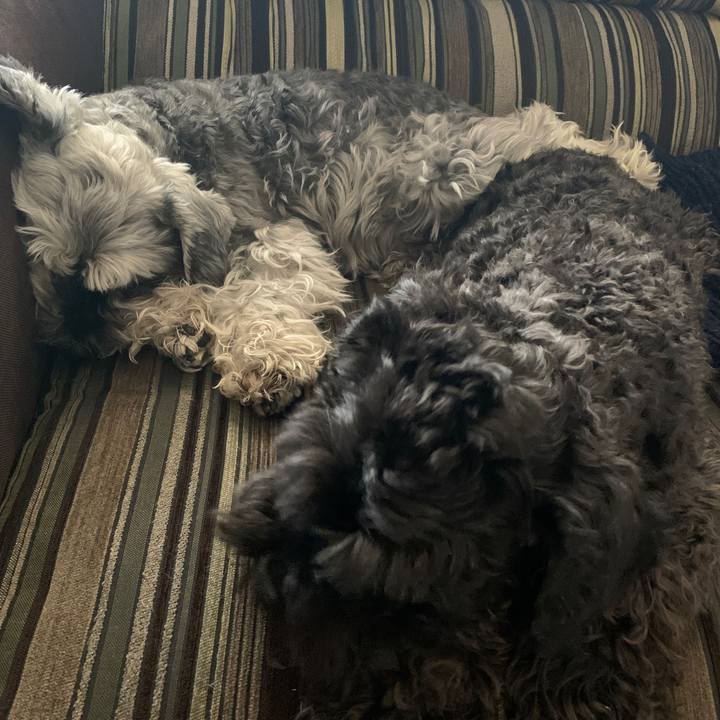 0f95cb97 d140 4717 9acd d6ac811bbd98 1650585100664