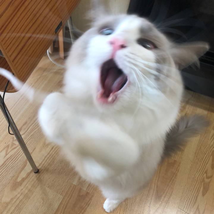 0f963f97 1046 4ed9 9927 fbfddbd92ece 1603064696020