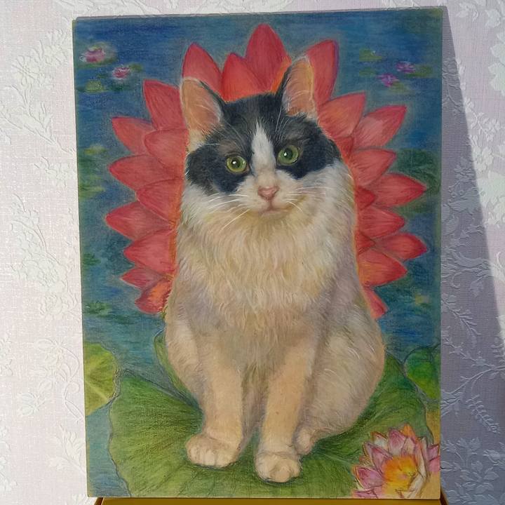 0f9662fb f488 42ea b1ad f564c5d0d57e 1658662705999