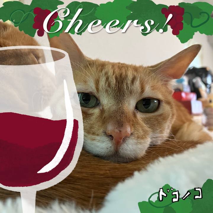 0f9673f5 cf13 4423 94df 36be5ecd590e 1761129484715