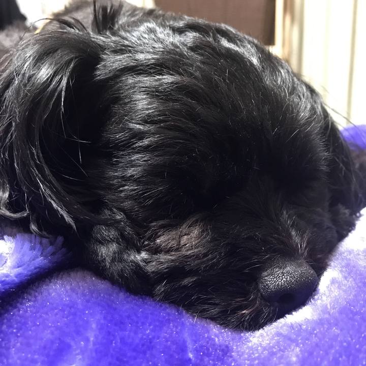 0f96988d ed75 4f5c b891 9a6c5622f50a 1528982258507