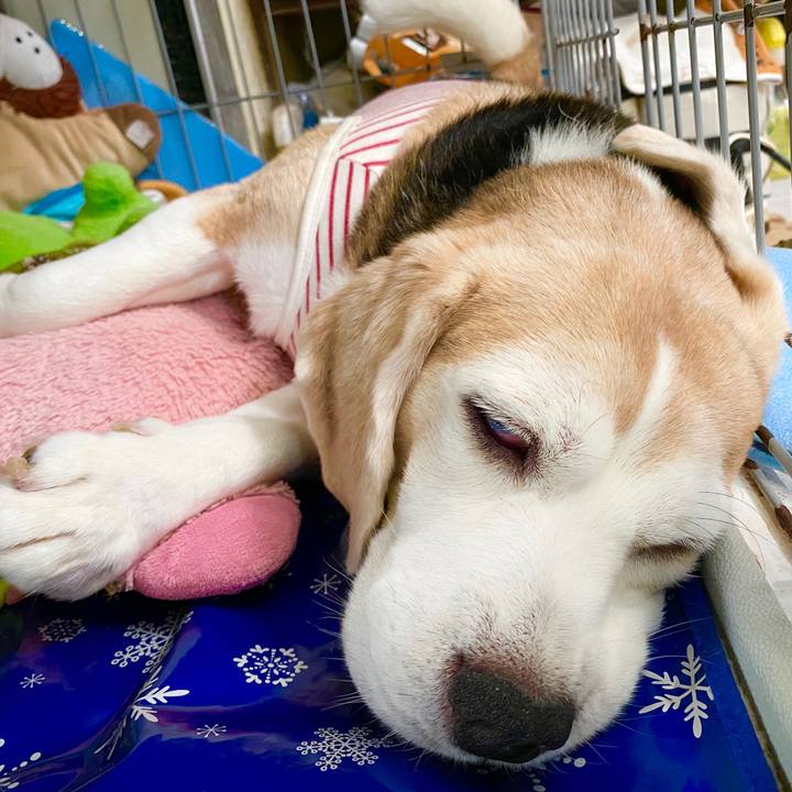 0f96affe 564d 4483 8f6a 4a178091046d 1594613295908