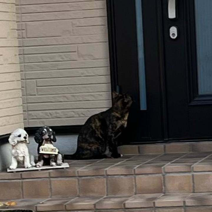 0f96e58e 3515 4490 b450 7ccb70624042 1668295882842