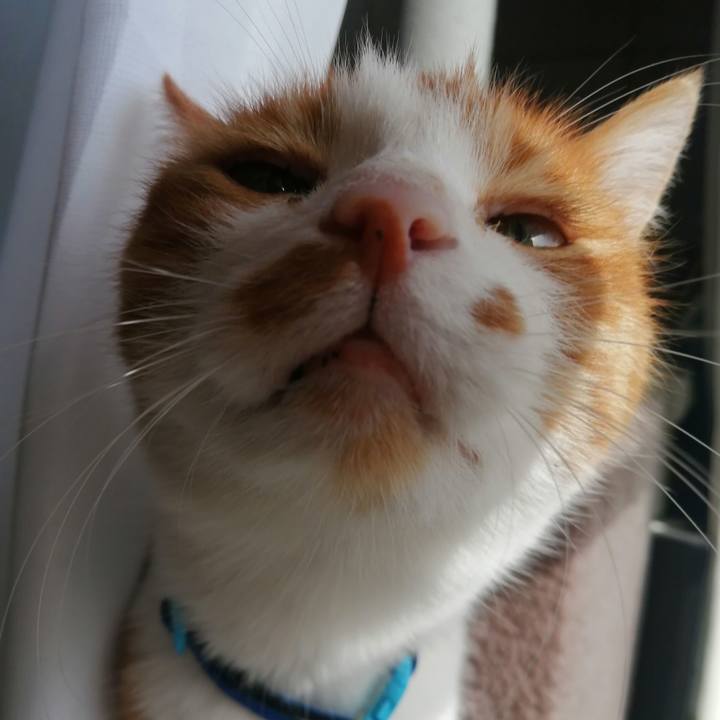 0f97353c 9cc5 4312 9a9c f0f97ec16507 1636171863165