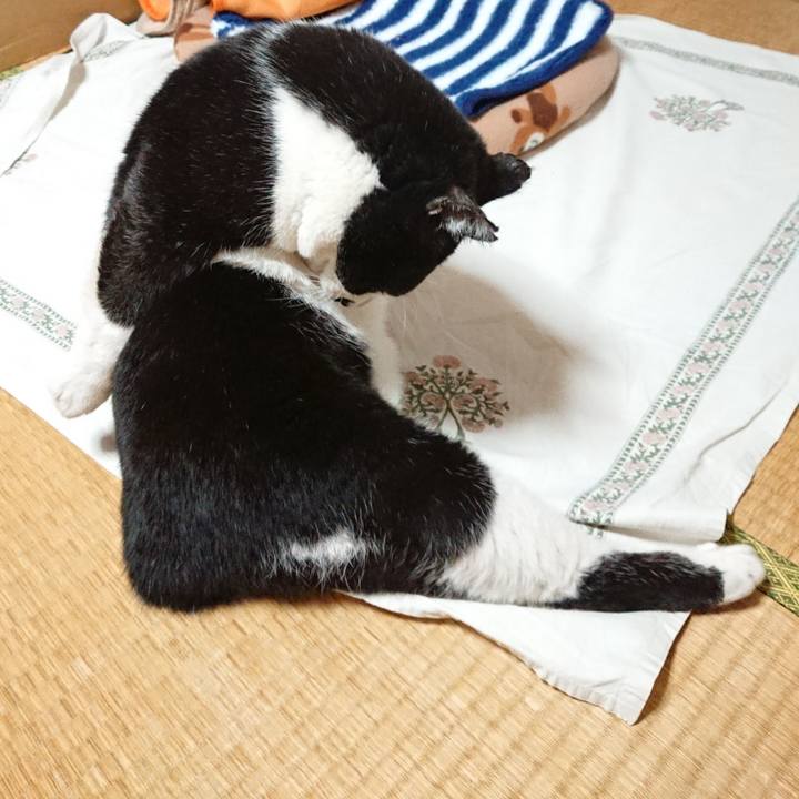 0f974e0f d407 4db9 8888 c99cfa96f416 1604096433395