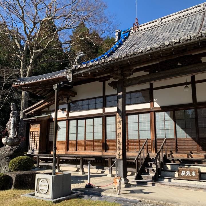 0f97760e a6ef 4818 933b 439d71e6de7d 1605945896658