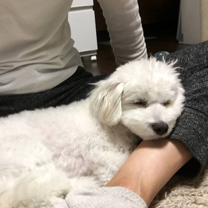 0f977a0f c269 41cb b4b3 573a07c258ae 1540047084063