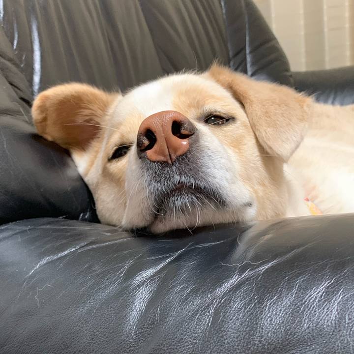 0f97abf7 687d 43a4 b61a 3ef2e90d9e12 1555425812679