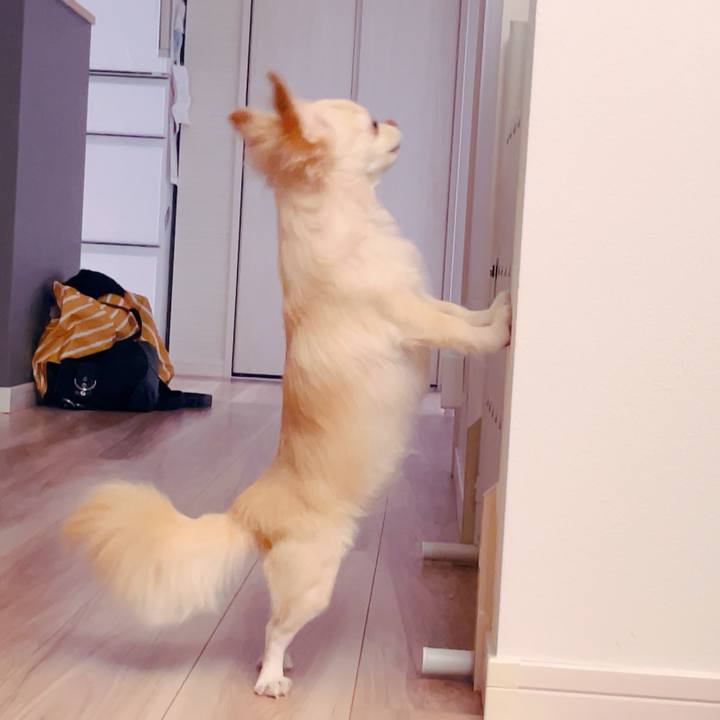 0f97b019 4a94 4047 af3d 1717f4866fe7 1759918509208