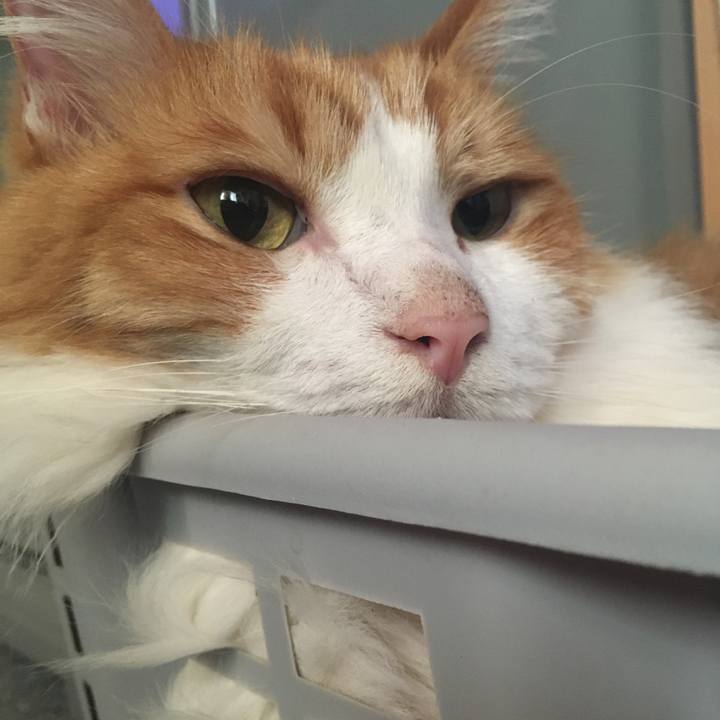 0f97f2e6 3f39 4ad9 ac0d c0e30c071d0d 1631945392331