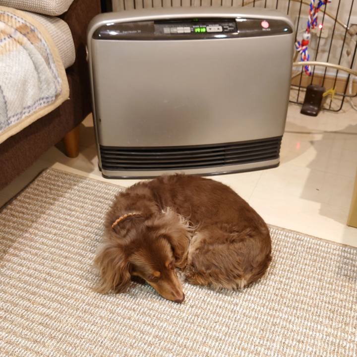 0f97f677 a644 4f64 85f4 af0ce43924fd 1677760032511