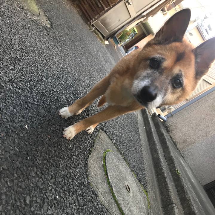 0f980ecf aac0 4043 b567 88493f5f2a36 1540162353665