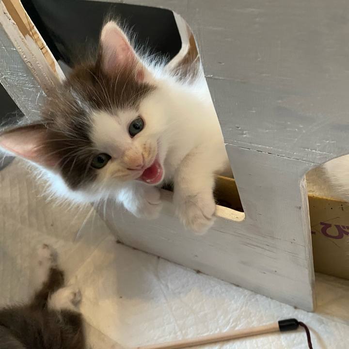 0f9841f9 780a 4fd0 ac99 ef47cd180991 1685175352157