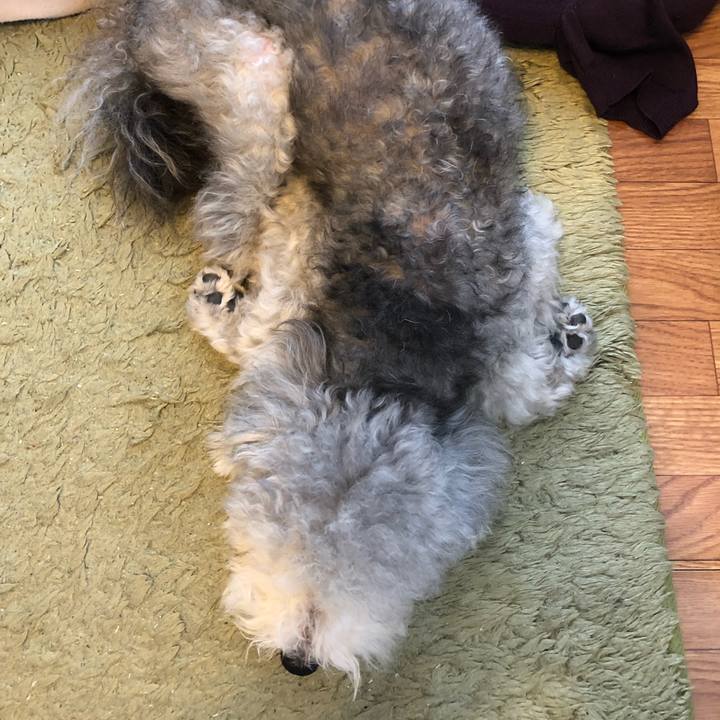 0f9868ef ae81 478a 8c5b a26063488f13 1533857441223