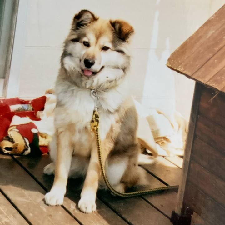 0f9879b1 7c69 4e63 9f75 7f1e8e3a692c 1588426550528