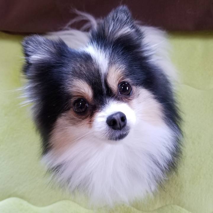 0f987f86 0626 40e0 8bfb f789c91091c4 1552088588325