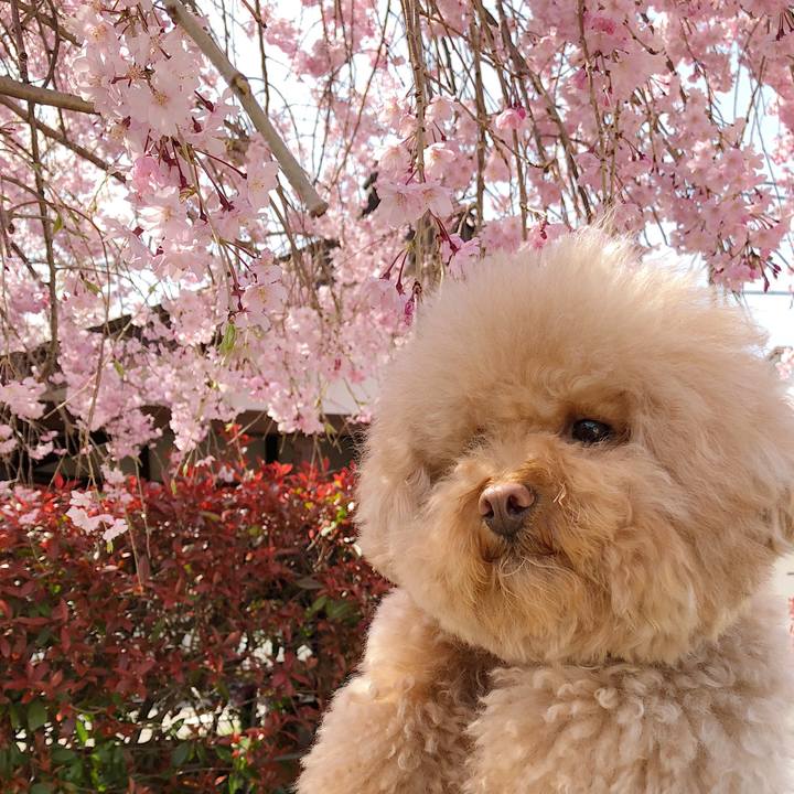 0f989eaa 9a95 4f79 95af 9e9c555ee34f 1522472406173