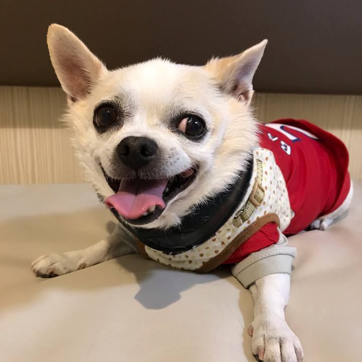 0f989fc2 871c 443e 8e2a 77e44fef7d59 1559743196299