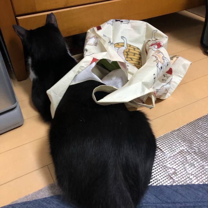 0f98af90 01b2 49d1 8b9f 68c000ab0630 1567746621402