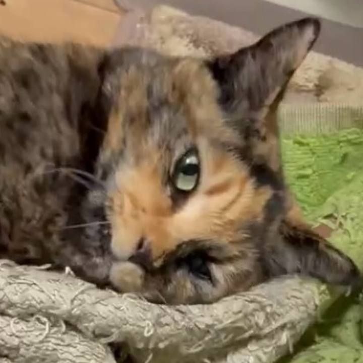 0f98b8df 26c7 4e47 aad8 e5f4495a0b3e 1773261457135