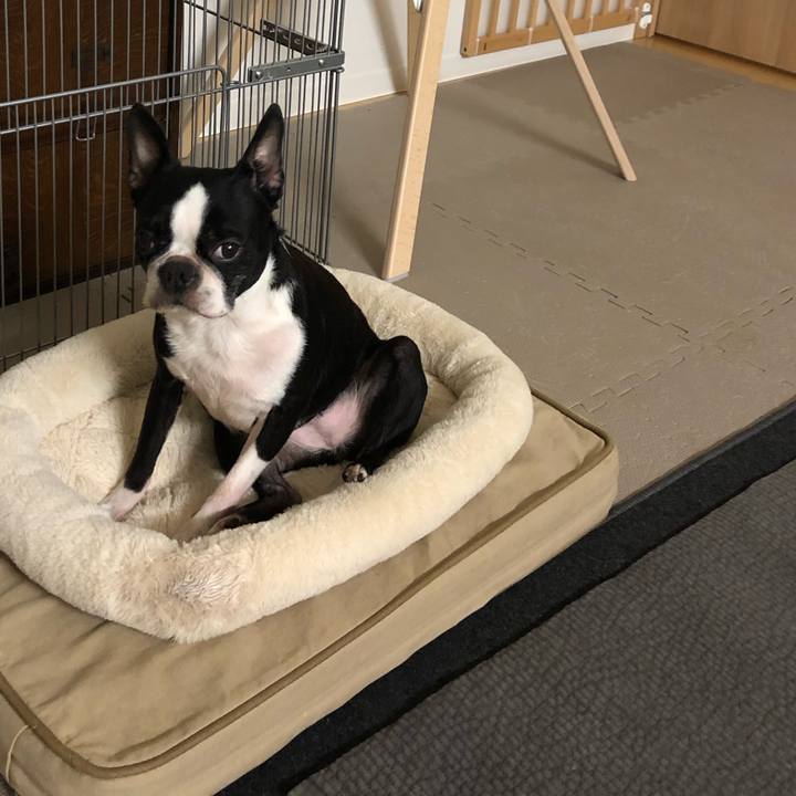 0f98e9cf d905 4b49 921c 7be0cd0828ee 1613521265871