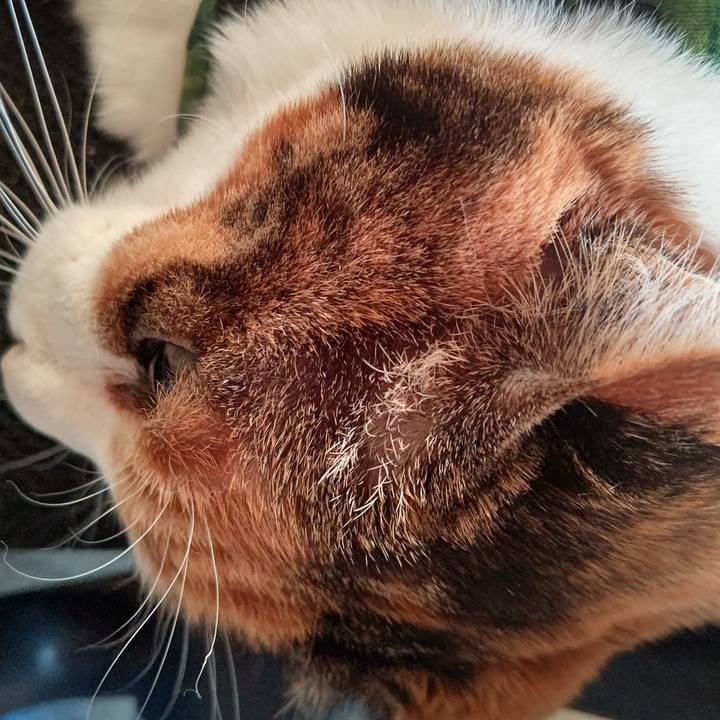 0f9931a3 be5e 4446 92c6 cbc36e7400d4 1649481074251