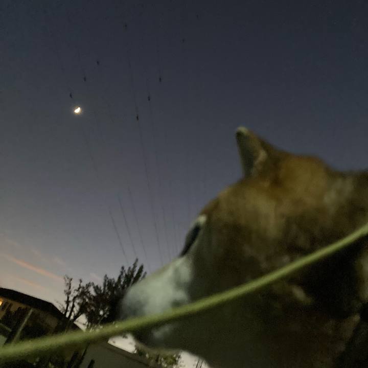 0f993325 08f2 4307 9543 b48e561b5d9c 1700388438866