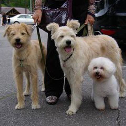 0f998aae bf5f 4d7d 93ae 7cd74d12d46c 1648559346650