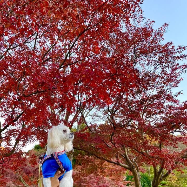 0f99936c bedf 44dd 8268 153f89692e7e 1638251933720