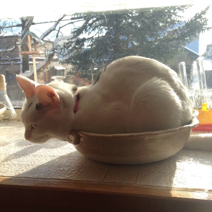 0f999e91 8fcc 4220 b45c ac362891f0dd 1513471022676