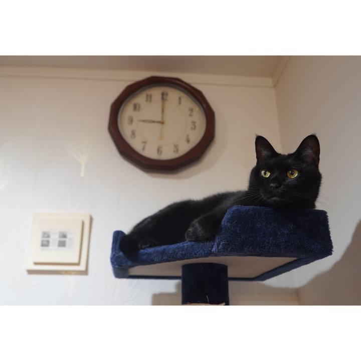 0f99aec7 0a04 4cbd 924e 233af6106f97 1602686002238