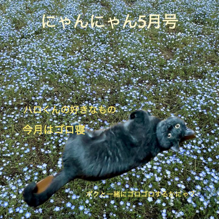 0f9a06e7 a629 40ba b570 27be2b05eb2c 1746484934210