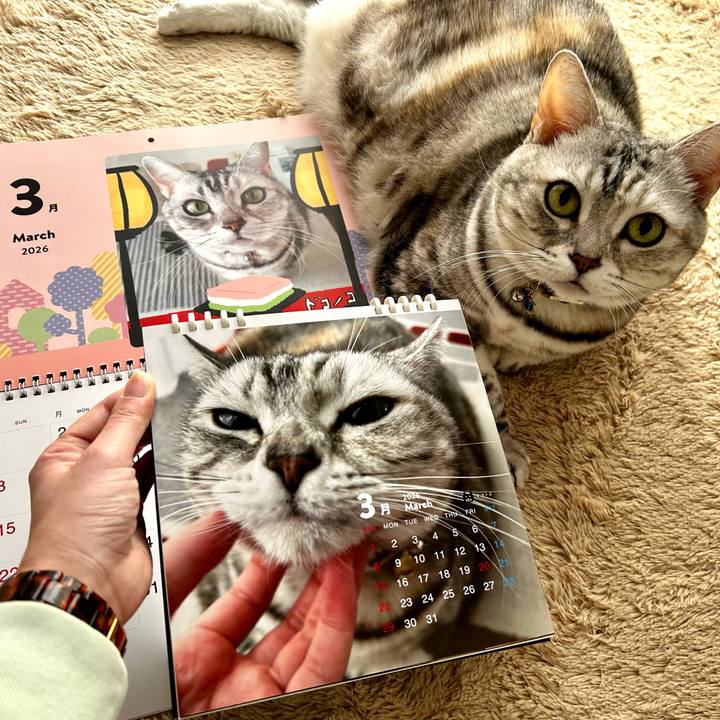 0f9a0b5c f654 4c3b 9510 218a0f67c4c7 1772403855780