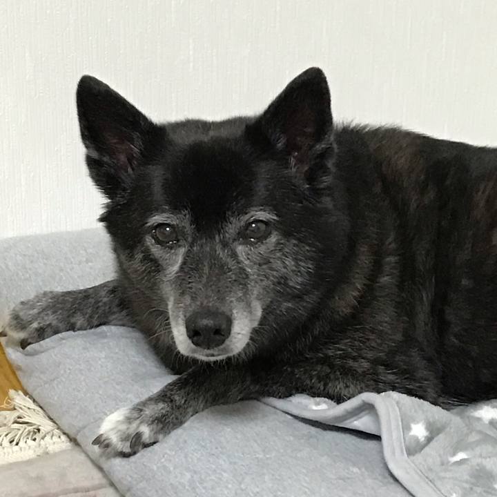 0f9a1aa8 1abe 47ab 89b3 042a1e58ac8c 1572614059003