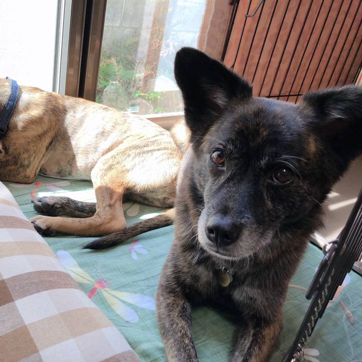 0f9a1ad1 b619 4ea7 b022 bb01a5260846 1570971040852